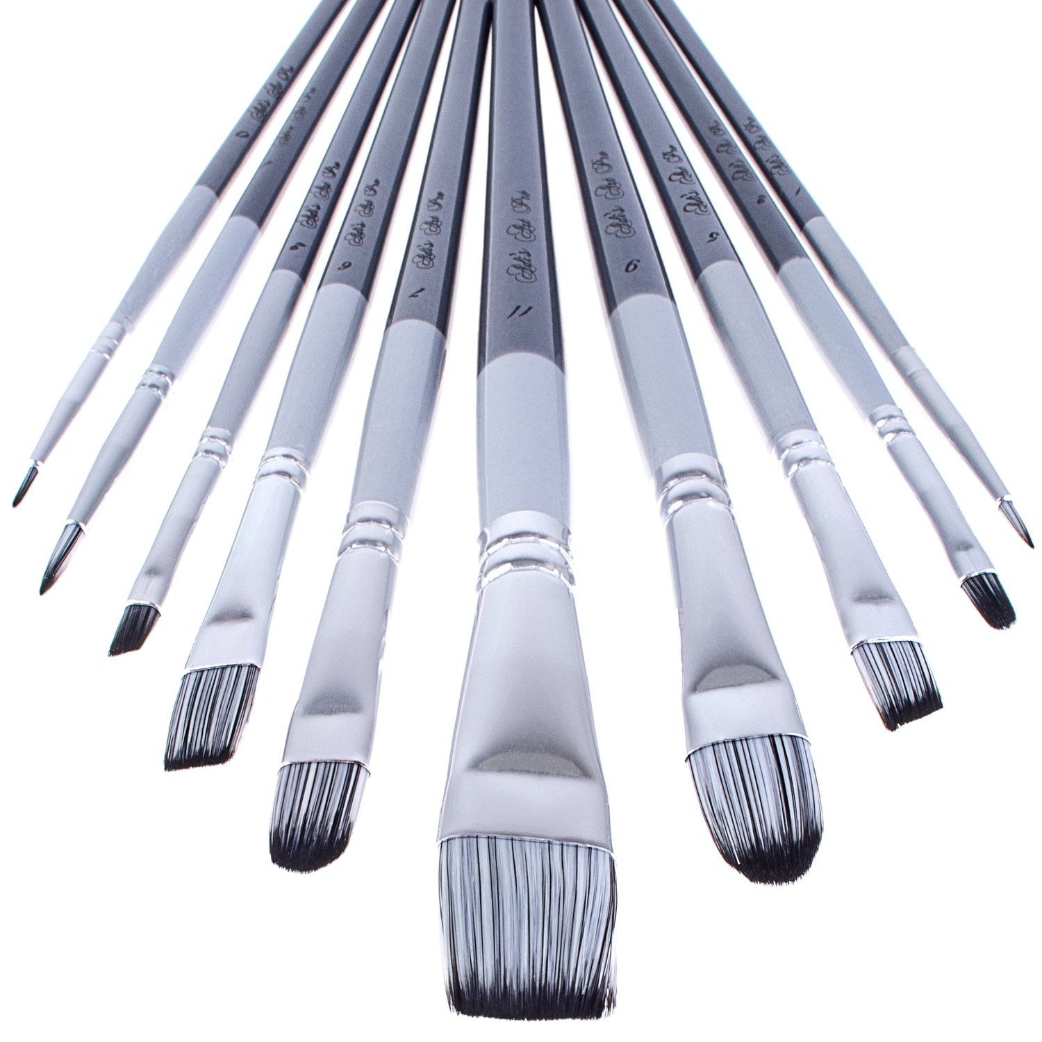 Acrylic Paint Brush Set with 12 Premium Artist Brushes